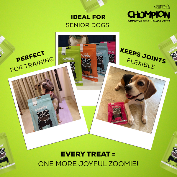 Venttura Chompion Pawsitive Hip & Joint Dogs Treats