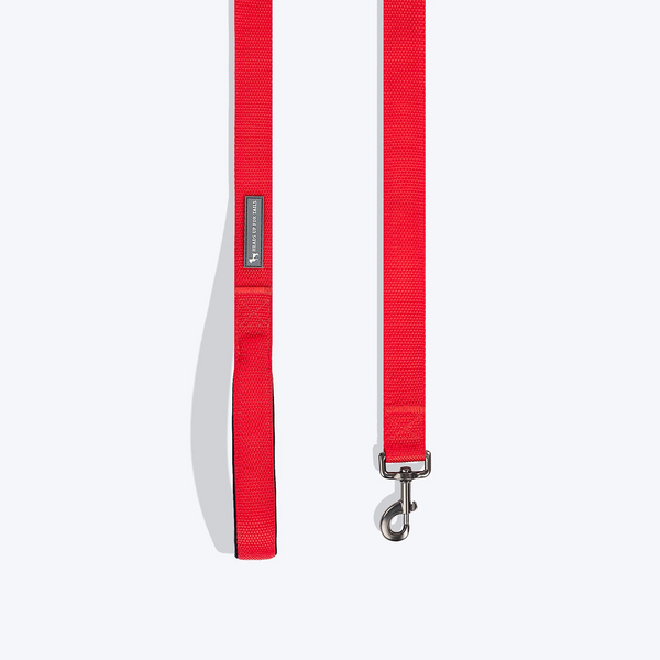 HUFT Basics Nylon Leash for Dogs (Crimson Red)
