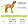 HUFT Classic D Ring Collar for Dogs (Coal Black) Dogs-Collar, Leashes, harnesses Heads Up for Tails