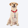 HUFT Classic H Harness for Dogs (Cherry Red) Dogs-Collar, Leashes, harnesses Heads Up for Tails S