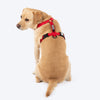 HUFT Classic H Harness for Dogs (Cherry Red) Dogs-Collar, Leashes, harnesses Heads Up for Tails