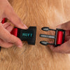 HUFT Classic H Harness for Dogs (Cherry Red) Dogs-Collar, Leashes, harnesses Heads Up for Tails