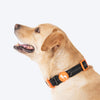 HUFT Xplorers Collar for Dogs (Black) Dogs-Collar, Leashes, harnesses Heads Up for Tails