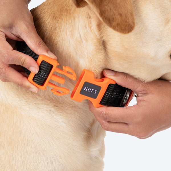 HUFT Xplorers Collar for Dogs (Black)