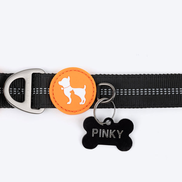 HUFT Xplorers Collar for Dogs (Black)