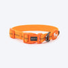 HUFT Xplorers Collar for Dogs (Orange) Dogs-Collar, Leashes, harnesses Heads Up for Tails