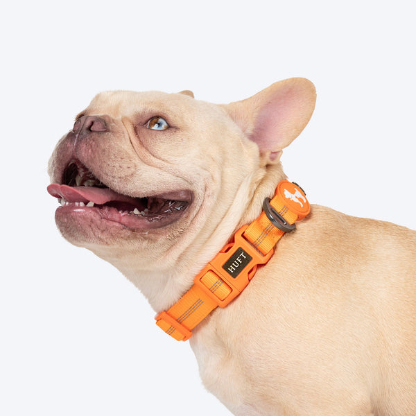 HUFT Xplorers Collar for Dogs (Orange)
