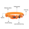 HUFT Xplorers Collar for Dogs (Orange) Dogs-Collar, Leashes, harnesses Heads Up for Tails