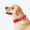 HUFT Xplorers Collar for Dogs (Red) Dogs-Collar, Leashes, harnesses Heads Up for Tails