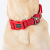 HUFT Xplorers Collar for Dogs (Red) Dogs-Collar, Leashes, harnesses Heads Up for Tails