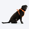 HUFT Xplorers Harness for Dogs (Orange) Dogs-Collar, Leashes, harnesses Heads Up for Tails
