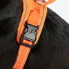 HUFT Xplorers Harness for Dogs (Orange) Dogs-Collar, Leashes, harnesses Heads Up for Tails