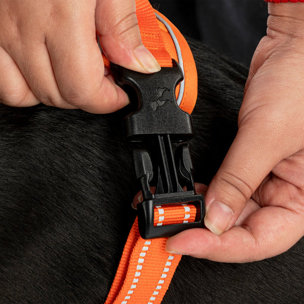 HUFT Xplorers Harness for Dogs (Orange)