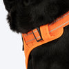 HUFT Xplorers Harness for Dogs (Orange) Dogs-Collar, Leashes, harnesses Heads Up for Tails