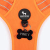 HUFT Xplorers Harness for Dogs (Orange) Dogs-Collar, Leashes, harnesses Heads Up for Tails