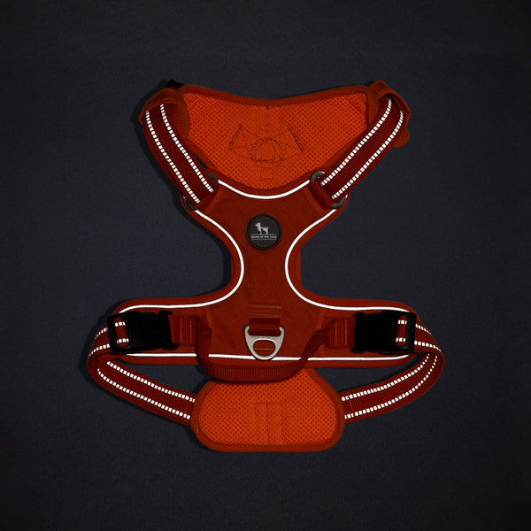 HUFT Xplorers Harness for Dogs (Orange)