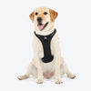 HUFT Xplorers Harness for Dogs (Black) Dogs-Collar, Leashes, harnesses Heads Up for Tails S
