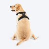 HUFT Xplorers Harness for Dogs (Black) Dogs-Collar, Leashes, harnesses Heads Up for Tails