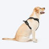 HUFT Xplorers Harness for Dogs (Black) Dogs-Collar, Leashes, harnesses Heads Up for Tails