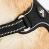 HUFT Xplorers Harness for Dogs (Black) Dogs-Collar, Leashes, harnesses Heads Up for Tails