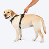HUFT Xplorers Harness for Dogs (Black) Dogs-Collar, Leashes, harnesses Heads Up for Tails