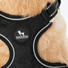 HUFT Xplorers Harness for Dogs (Black) Dogs-Collar, Leashes, harnesses Heads Up for Tails