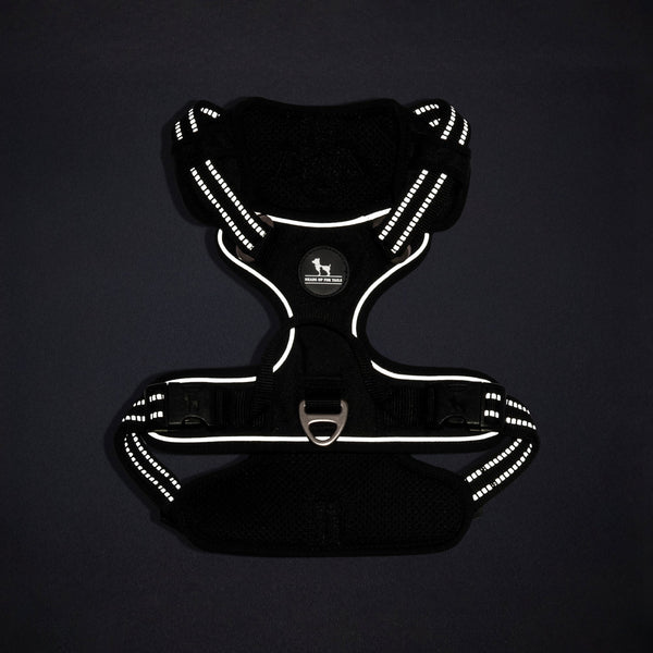 HUFT Xplorers Harness for Dogs (Black)