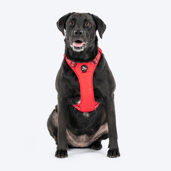 HUFT Xplorers Harness for Dogs (Red)