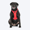 HUFT Xplorers Harness for Dogs (Red) Dogs-Collar, Leashes, harnesses Heads Up for Tails S