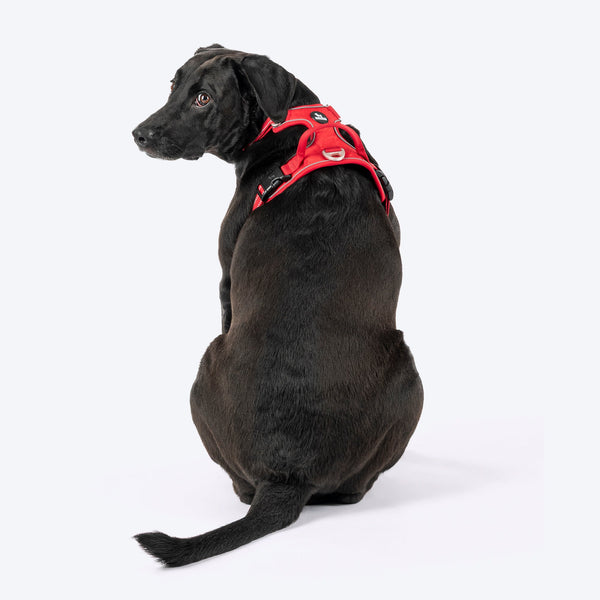 HUFT Xplorers Harness for Dogs (Red)