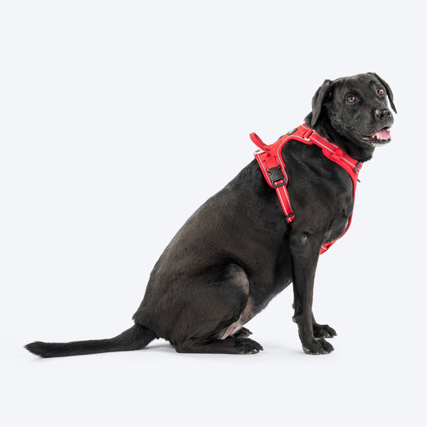 HUFT Xplorers Harness for Dogs (Red)