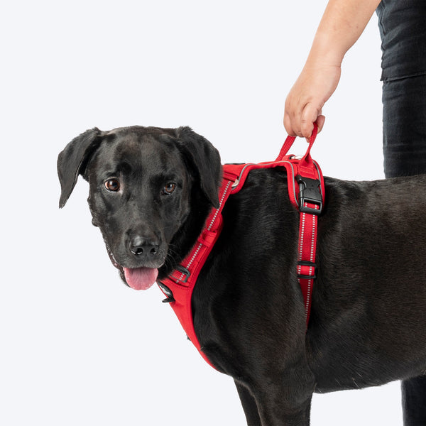 HUFT Xplorers Harness for Dogs (Red)