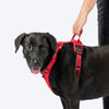 HUFT Xplorers Harness for Dogs (Red) Dogs-Collar, Leashes, harnesses Heads Up for Tails