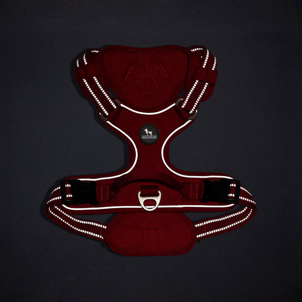 HUFT Xplorers Harness for Dogs (Red)