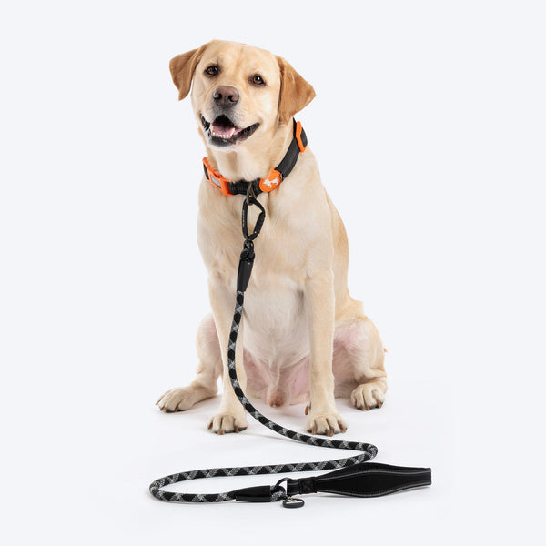 HUFT Xplorers Rope Leash for Dogs (Black)