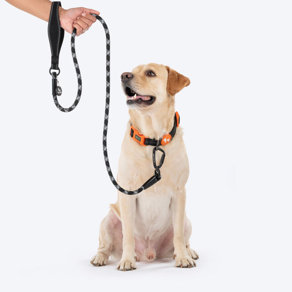 HUFT Xplorers Rope Leash for Dogs (Black)