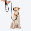 HUFT Xplorers Rope Leash for Dogs (Black) Dogs-Collar, Leashes, harnesses Heads Up for Tails