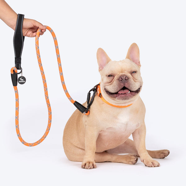 HUFT Xplorers Rope Leash for Dogs (Orange)