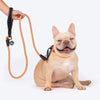 HUFT Xplorers Rope Leash for Dogs (Orange) Dogs-Collar, Leashes, harnesses Heads Up for Tails