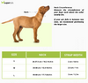 HUFT Xplorers Collar for Dogs (Red) Dogs-Collar, Leashes, harnesses Heads Up for Tails
