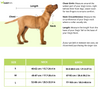 HUFT Xplorers Harness for Dogs (Red) Dogs-Collar, Leashes, harnesses Heads Up for Tails