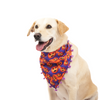 Skatrs Boo tiful Reversible Halloween Bandana for Dogs Both-Clothing & Accessories Skatrs 65x32cm