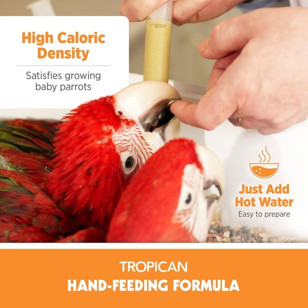 Hagen Tropican Hand Feeding Formula Bird Food (Yellow) Birds Hagen Tropican