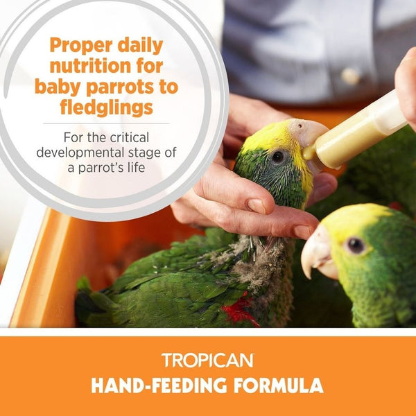 Hagen Tropican Hand Feeding Formula Bird Food (Yellow)