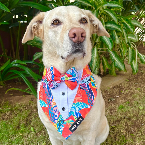Dogobow Hawaii Print Tuxedo Bandana for Dogs (Red)