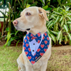 Dogobow Hearty Print Tuxedo Bandana for Dogs (Blue/Red) Dogs-Clothing & Accessories Dogobow Dropship