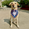 Dogobow Hearty Print Tuxedo Bandana for Dogs (Blue/Red) Dogs-Clothing & Accessories Dogobow Dropship