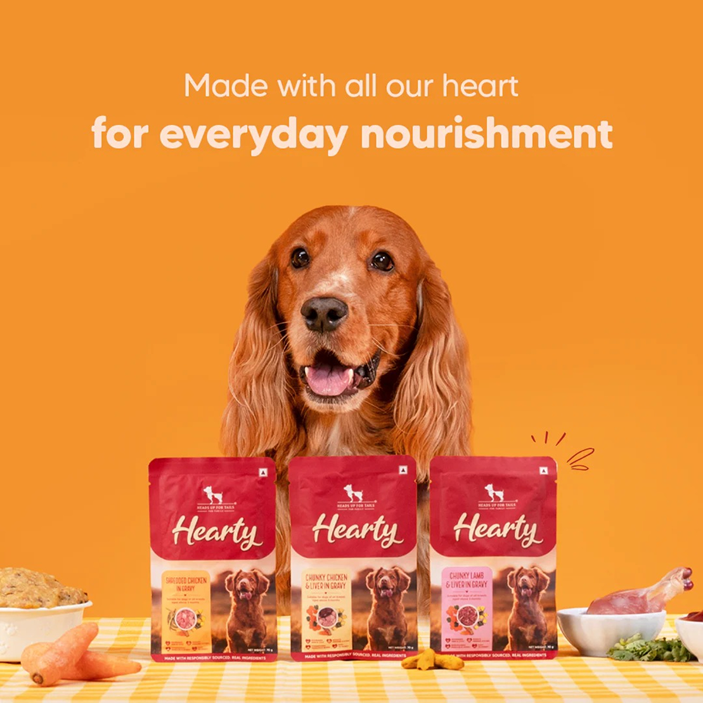 HUFT Hearty Shredded Chicken In Gravy Dog Wet Food Dogs-Wet Food Heads Up for Tails