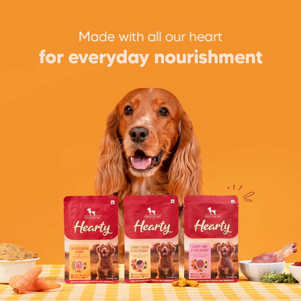 HUFT Hearty Shredded Chicken In Gravy  Dog Wet Food