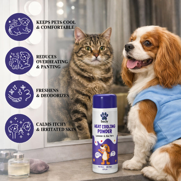 Bscly Lavender & Aloe Vera Heat Cooling Powder for Dogs